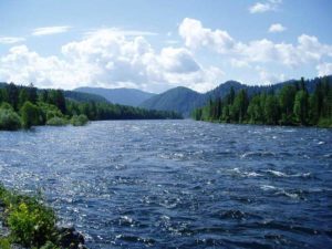 Уровень воды в районе Бийска и Сросток продолжает прибывать
