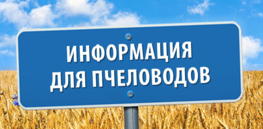 КАРТИНА ДНЯ