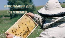 ВАЖНАЯ ИНФОРМАЦИЯ ДЛЯ ПЧЕЛОВОДОВ!!!