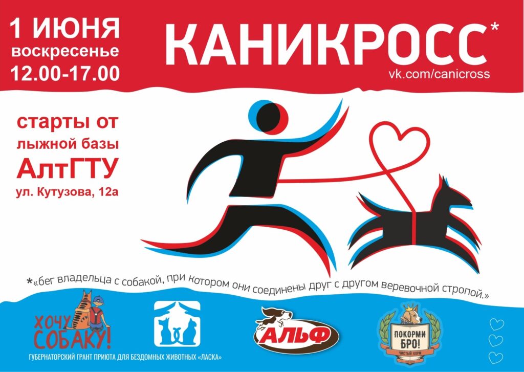 Пробежки в лесу: барнаульцев и гостей краевой столицы приглашают на каникросс со своими питомцами!