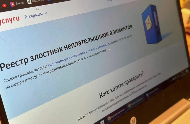 На Госуслугах заработал реестр злостных неплательщиков алиментов