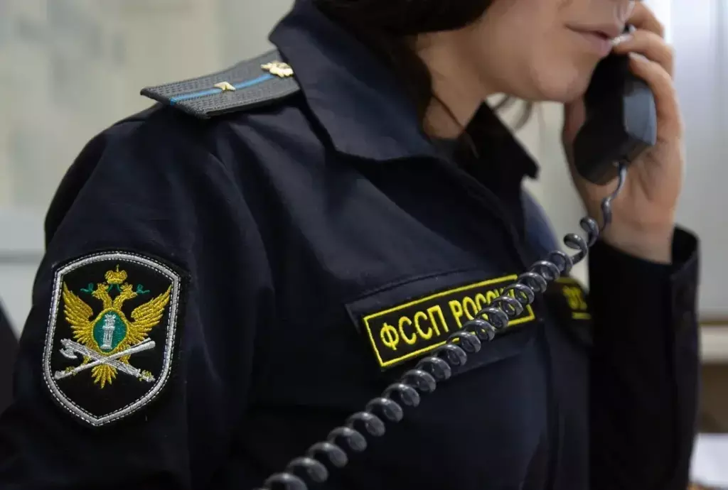 Жители Алтайского края смогут получить консультации по алиментам по телефону горячей линии